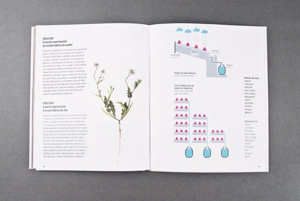 El Teularet. Catálogo 21