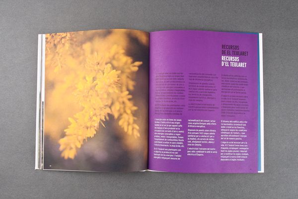 El Teularet. Catálogo 17