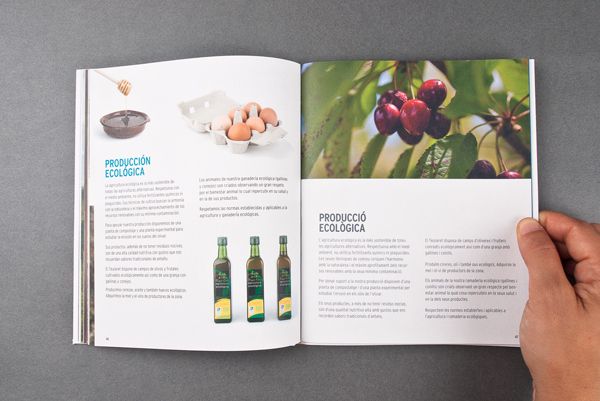 El Teularet. Catálogo 16