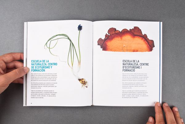 El Teularet. Catálogo 14