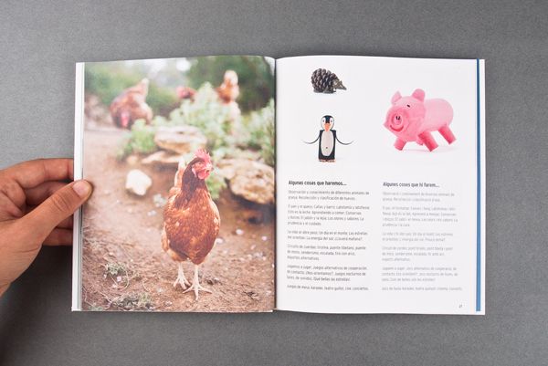 El Teularet. Catálogo 13