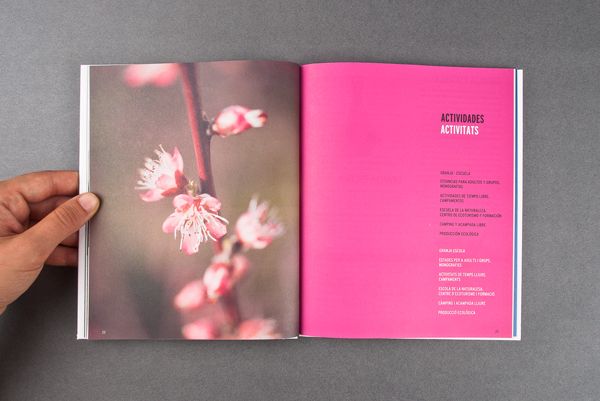 El Teularet. Catálogo 12