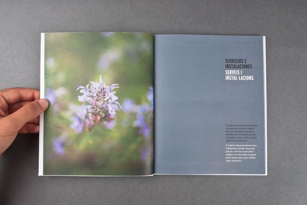 El Teularet. Catálogo 7