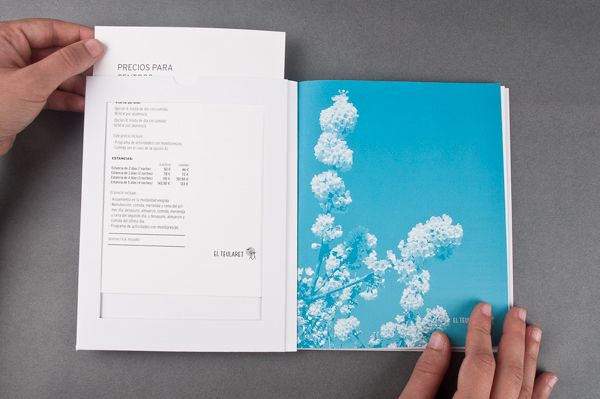 El Teularet. Catálogo 6