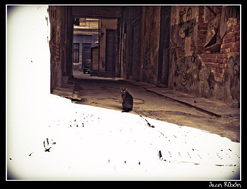 Bucharest - Chisinau - Odessa 6