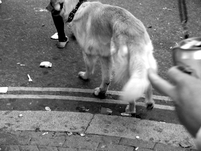 London in Black&White 9