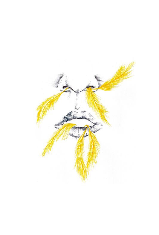 Libro ilustrado 5