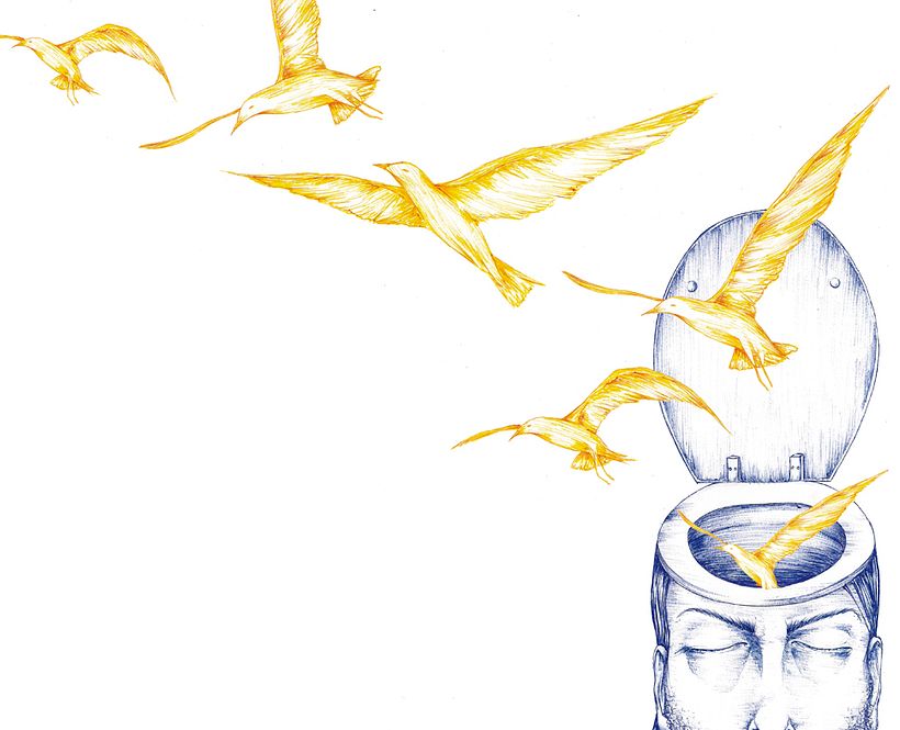Libro ilustrado 3