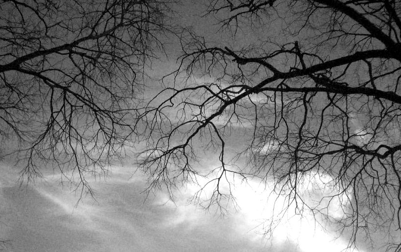 Fotografía | Naturaleza 1