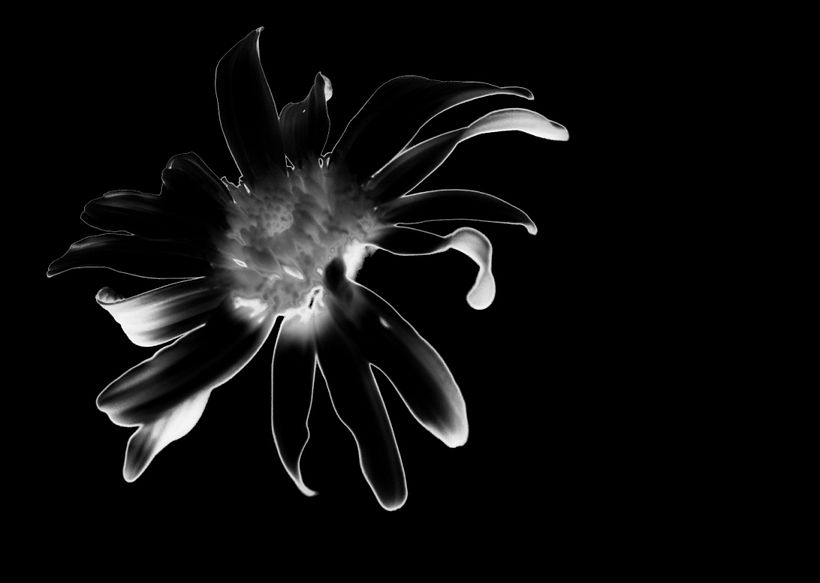 Fotografía | Naturaleza 3