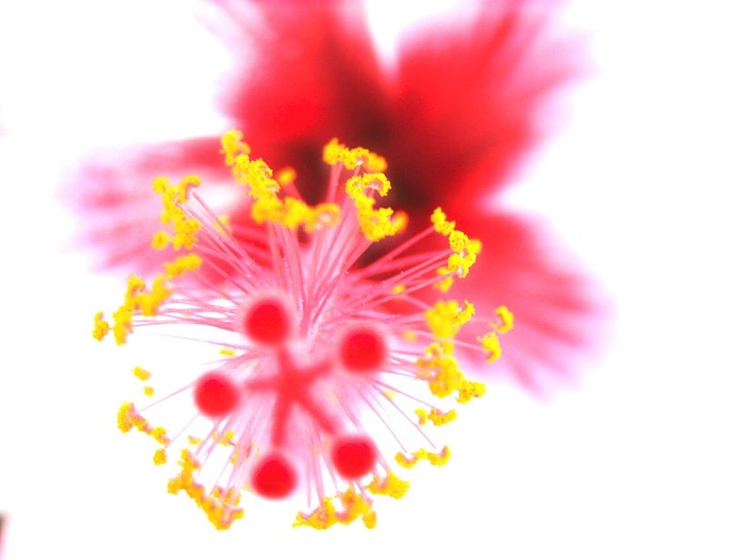 Fotografía | Naturaleza 4