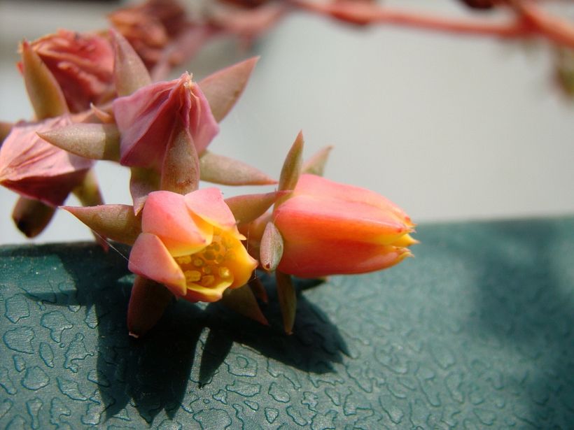 Fotografía | Naturaleza 5