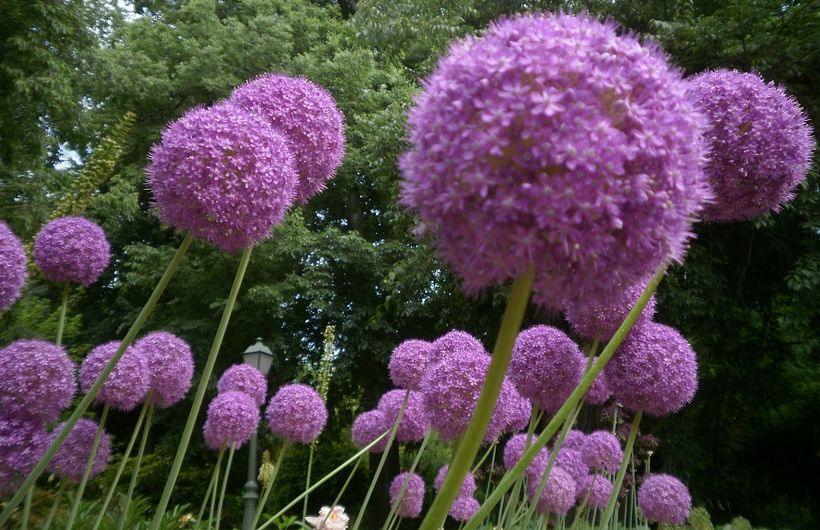 Fotografía | Naturaleza 7