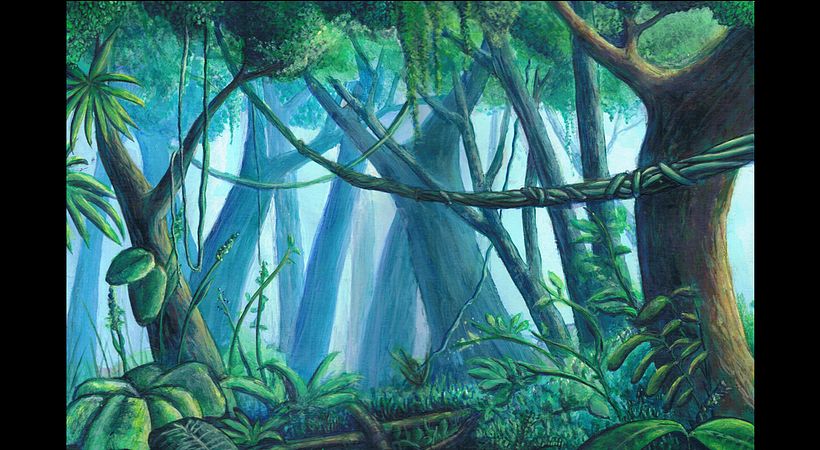 Portfolio ambientes 8