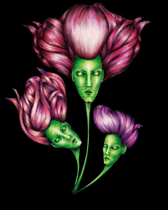 Flores 1