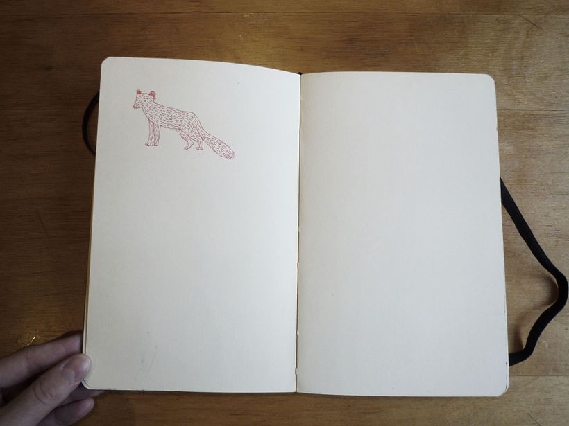 Moleskine 16