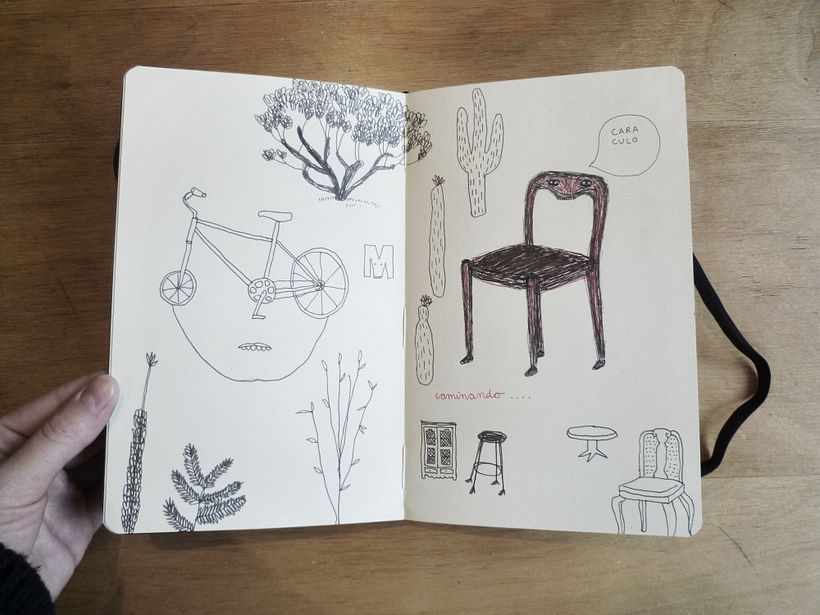 Moleskine 17