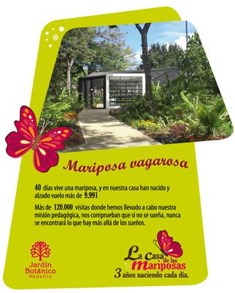 Impresos 22