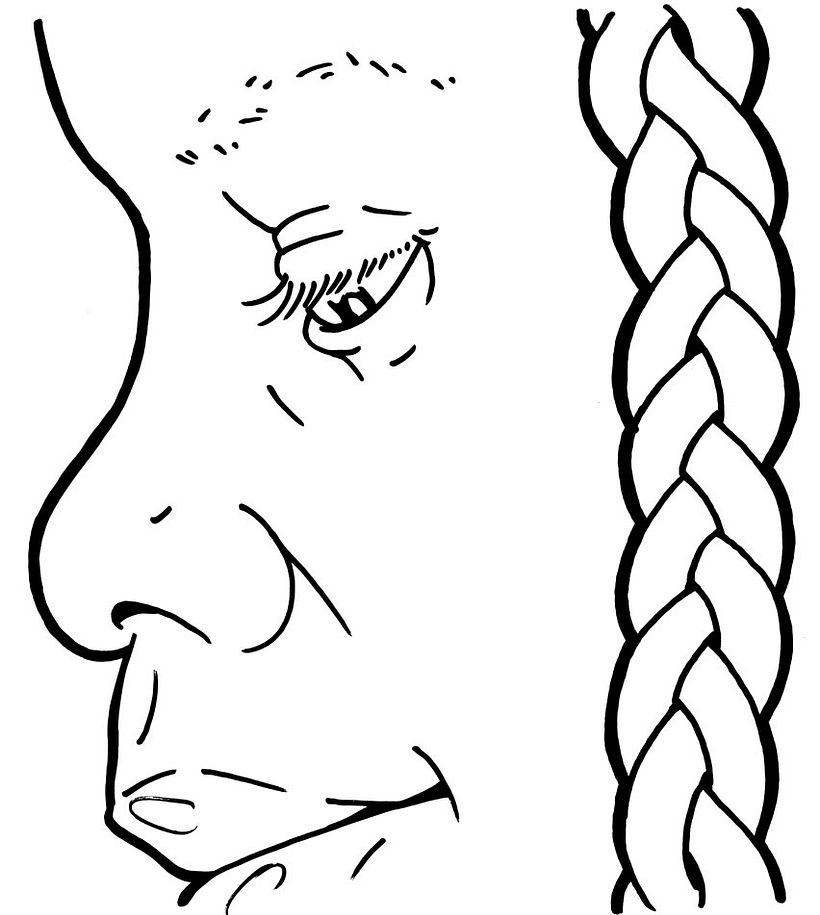 ILUSTRACIÓN 12