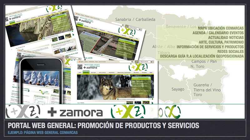 Diseño y desarrollo web 1