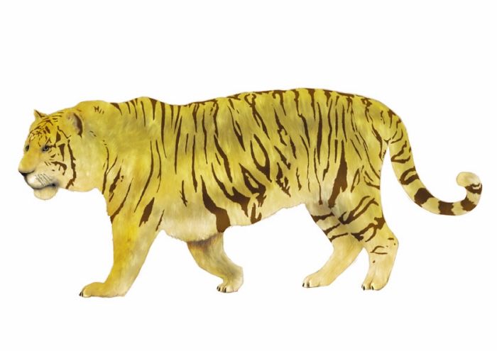 Animales 21