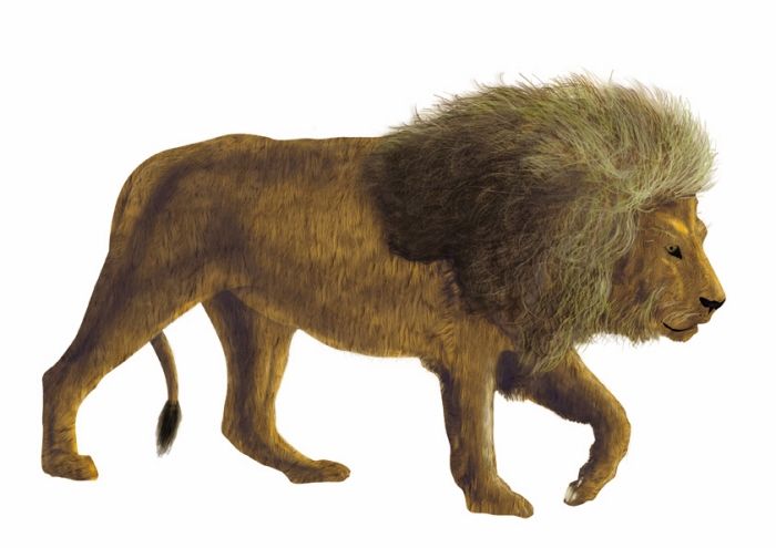 Animales 15