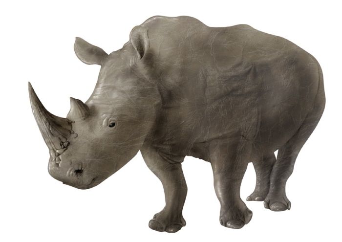 Animales 13