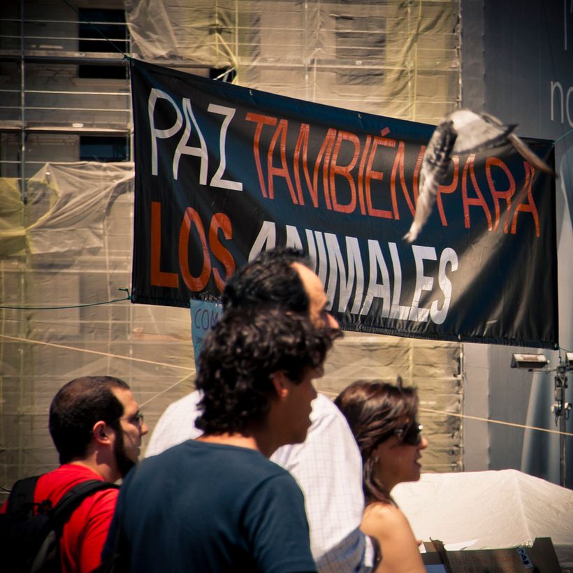 Acampadas 15M 15