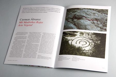 Revista Narcea 29