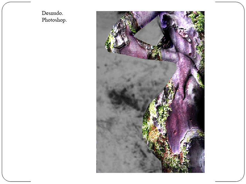 PORTFOLIO DE DOINA CATRUNA. DISEÑO Y MAQUETACIÓN 5