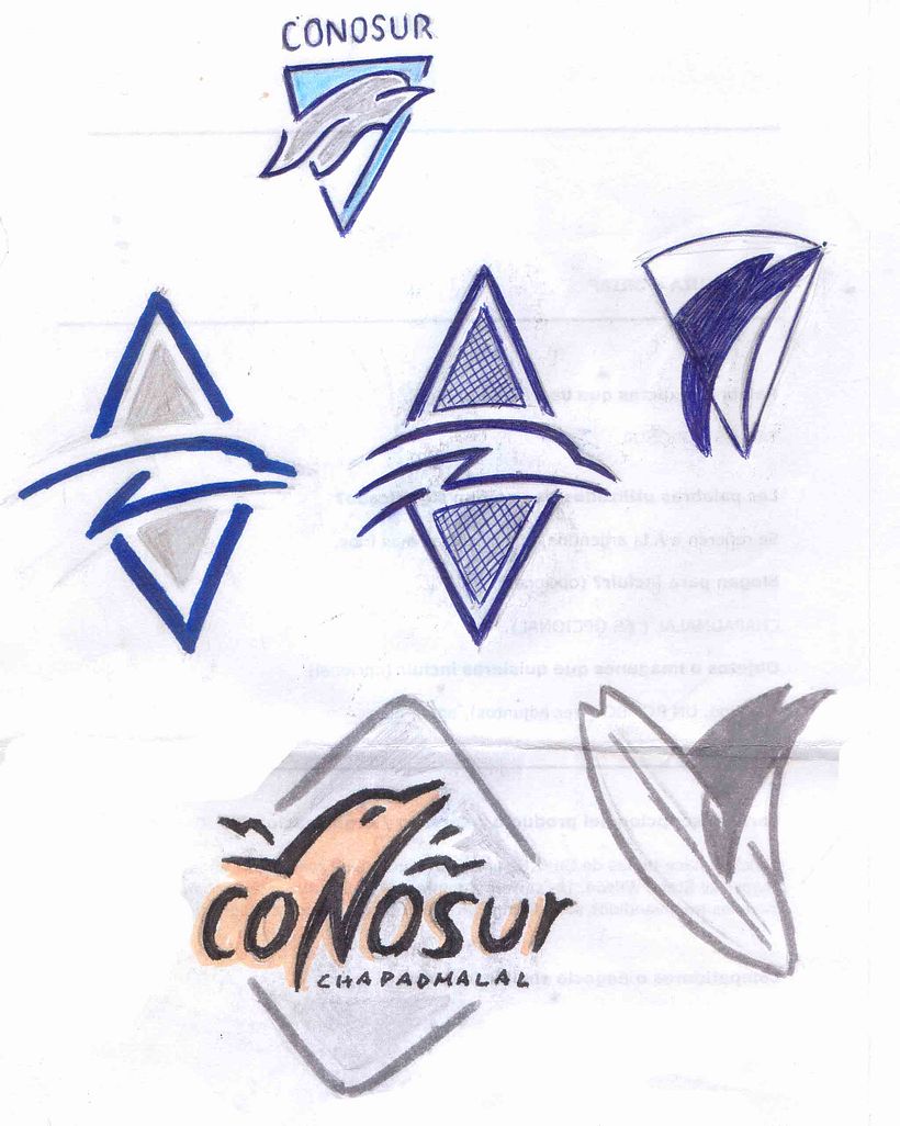 ConoSur_LOGO 4