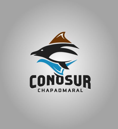 ConoSur_LOGO 1