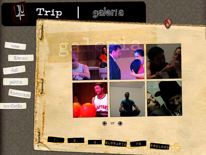 TRIP 9