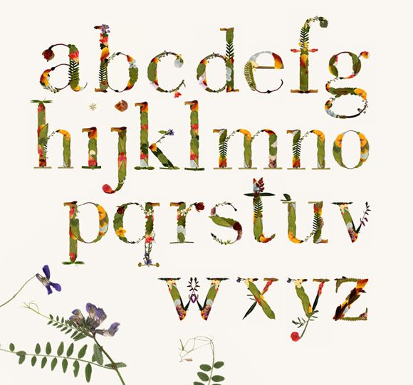 Herbario. Tipografía experimental 4