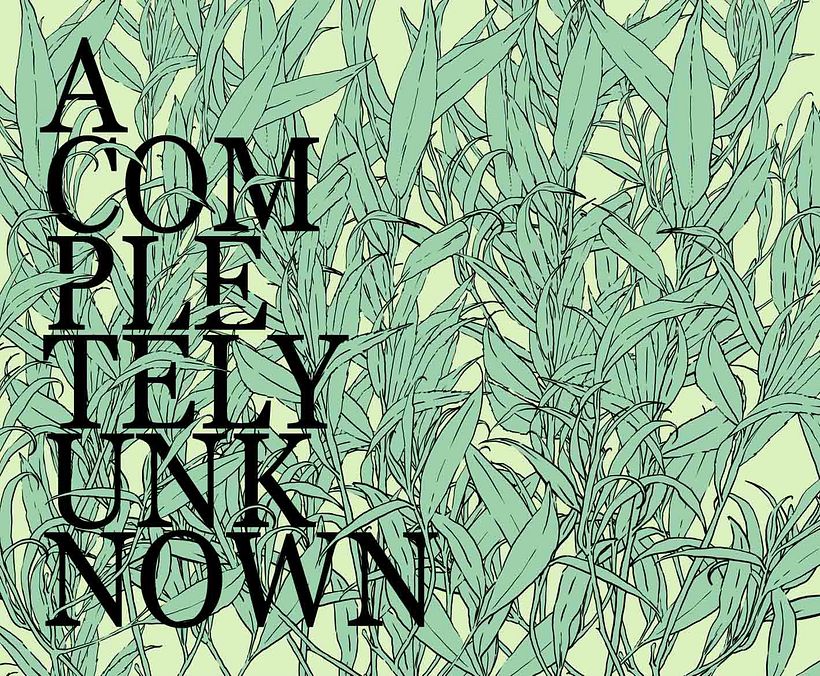 A Completely Unknown 1