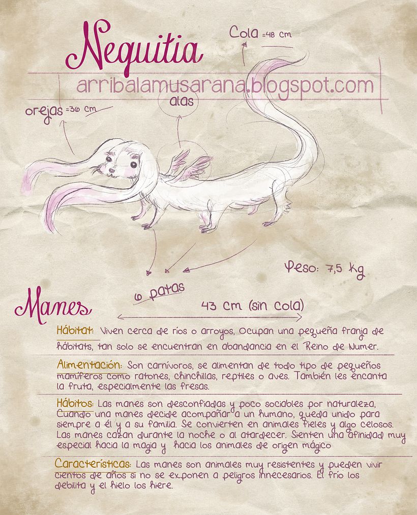 Ilustración libre 9