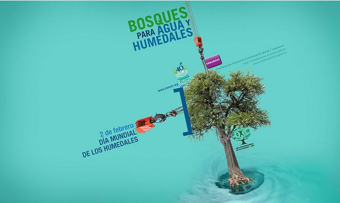 Wallpapers SEMARNAT 5