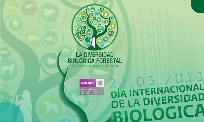 Wallpapers SEMARNAT 9