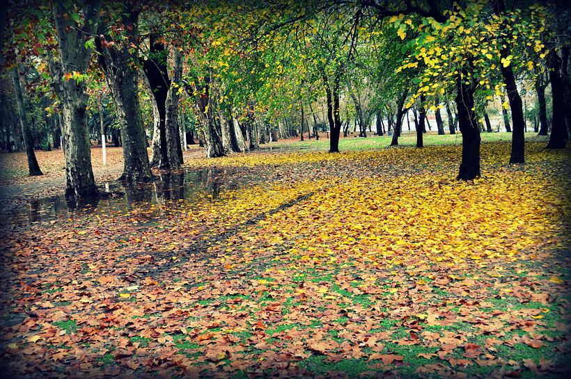 venta de fotografía 16