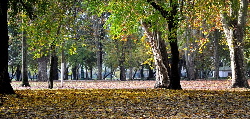 venta de fotografía 18