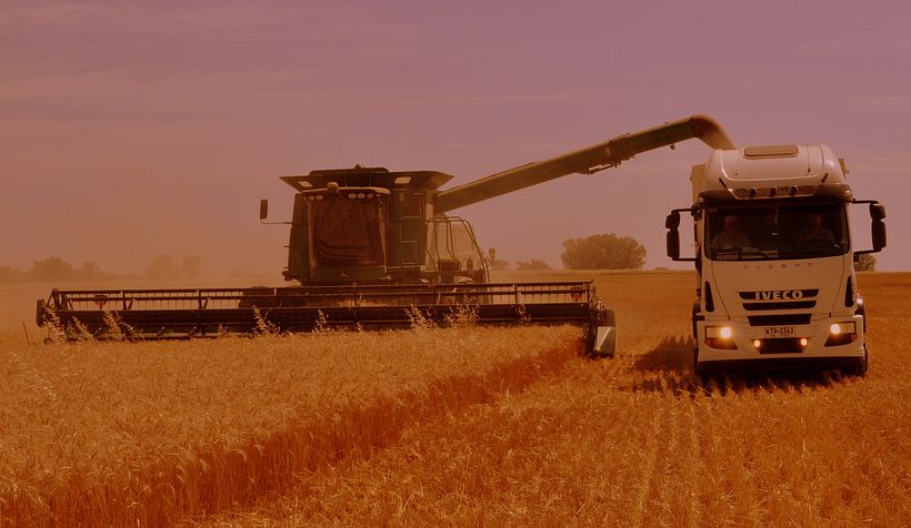 venta de fotografía 23