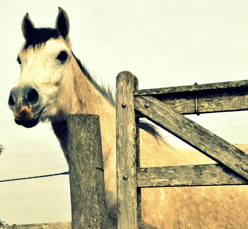 venta de fotografía 24