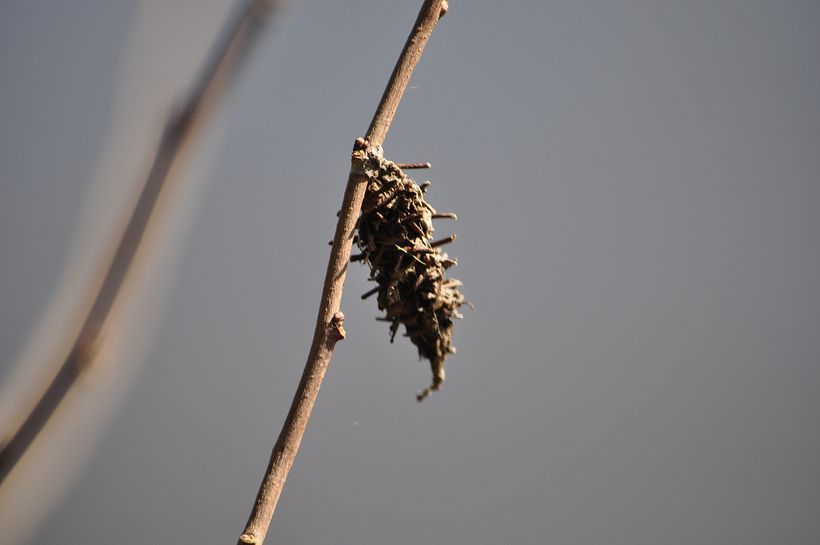 venta de fotografía 8