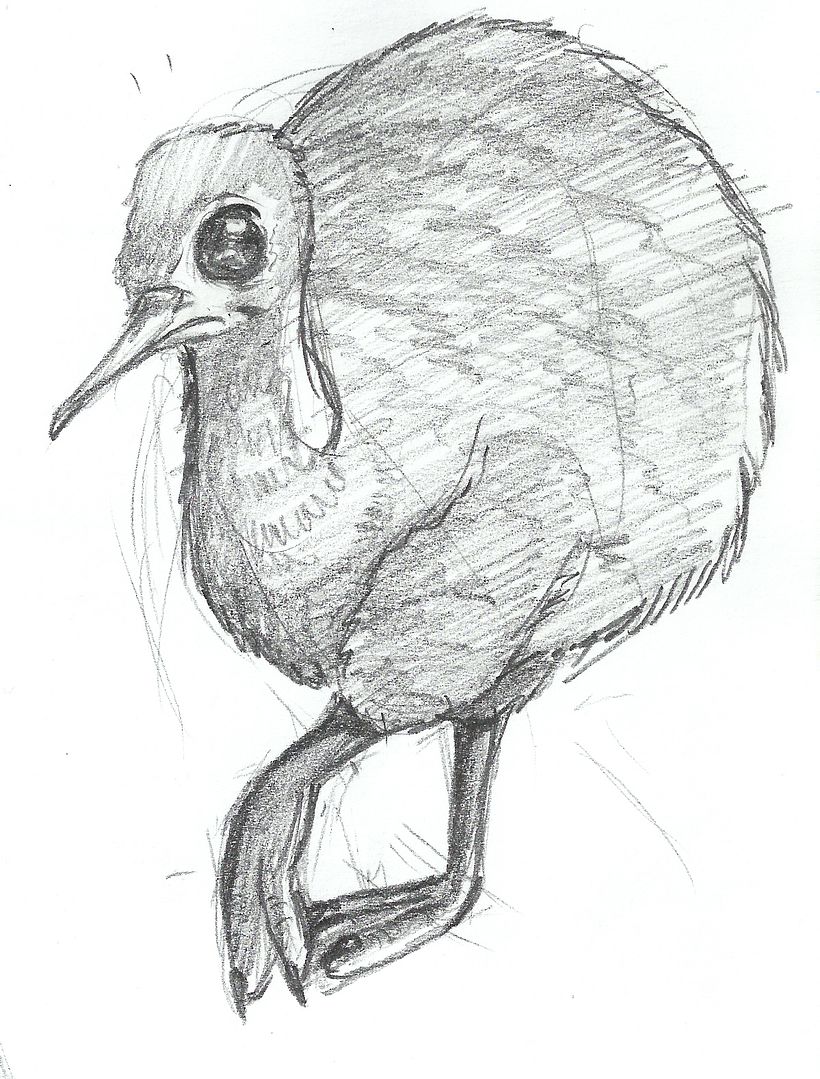 ANIMALS - CHARACTER DESIGN 2012 9