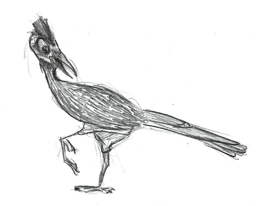 ANIMALS - CHARACTER DESIGN 2012 8