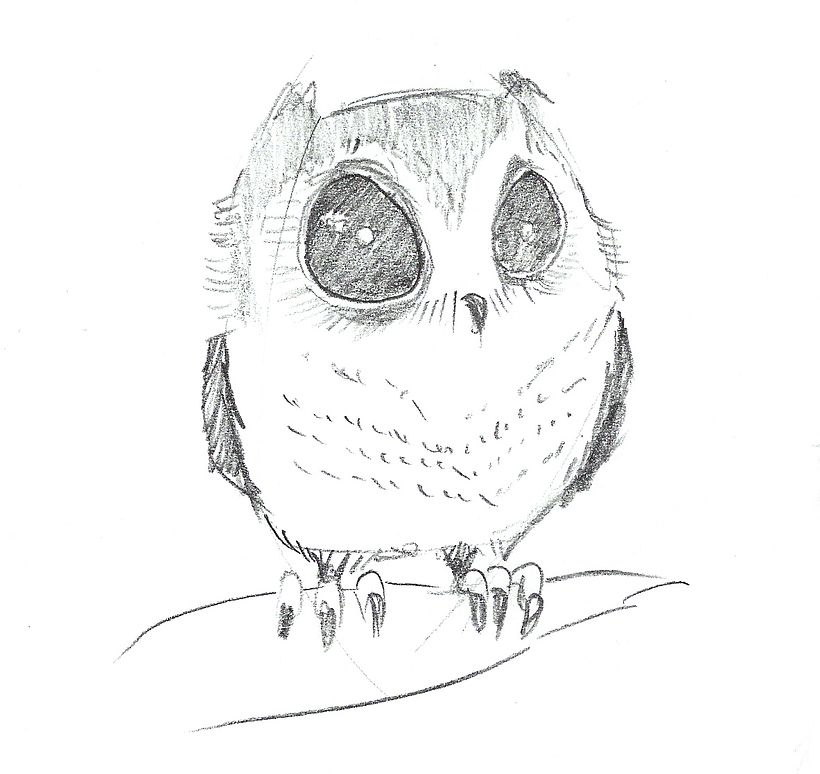 ANIMALS - CHARACTER DESIGN 2012 7