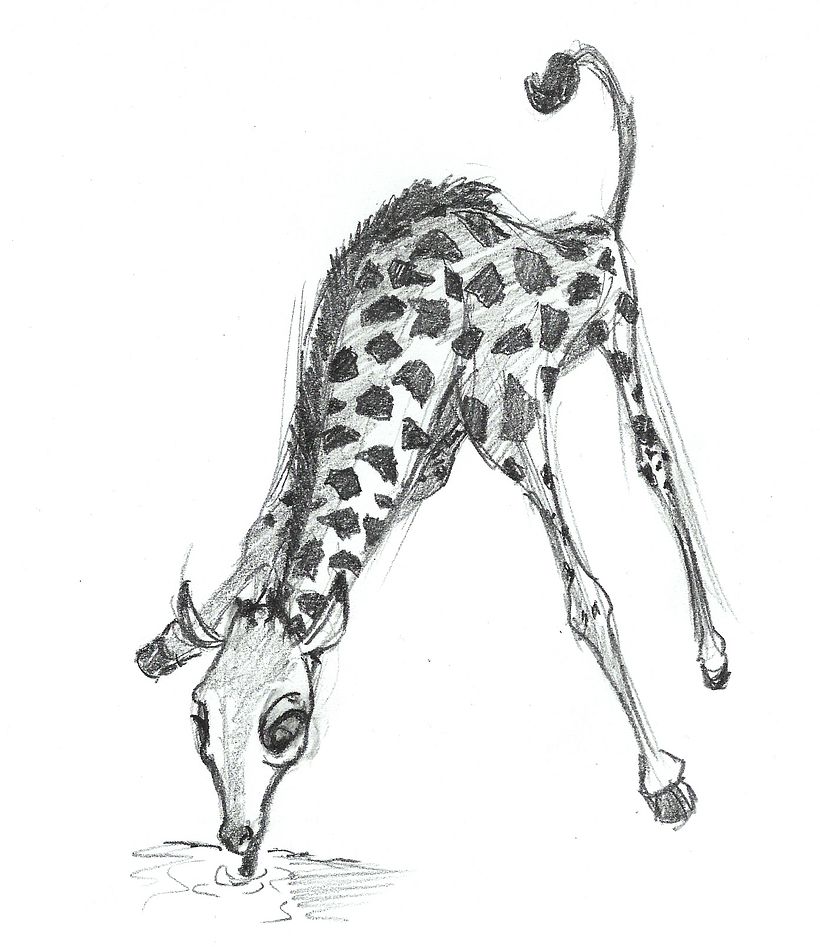 ANIMALS - CHARACTER DESIGN 2012 6