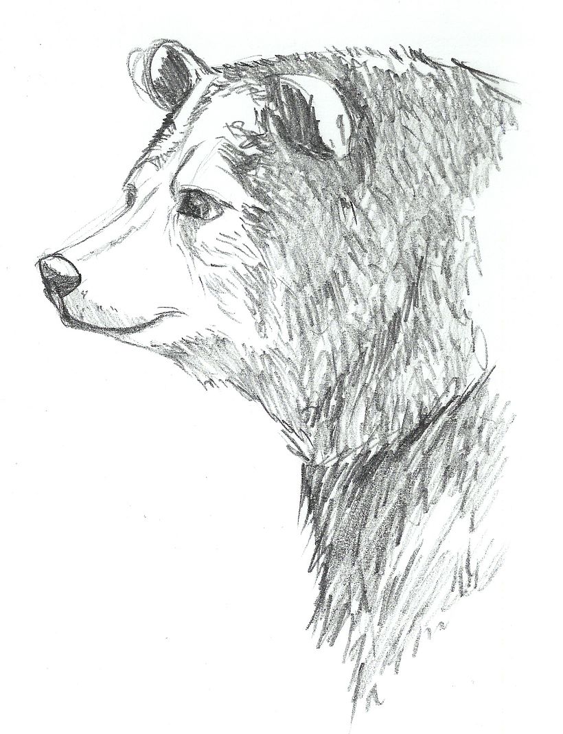 ANIMALS - CHARACTER DESIGN 2012 5