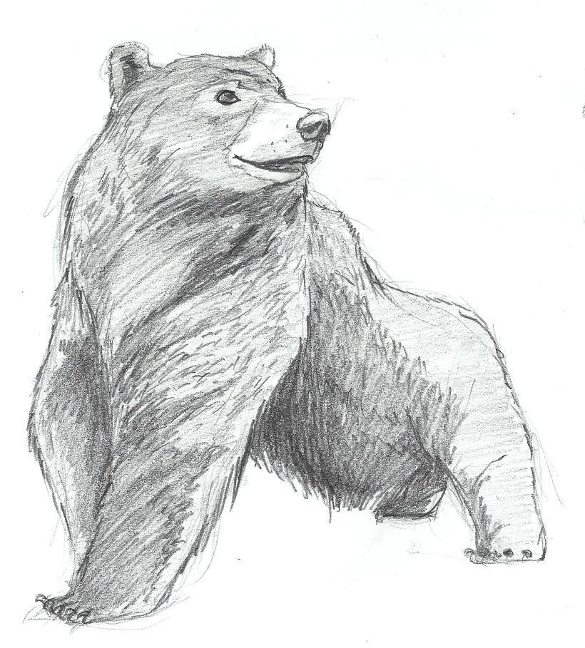 ANIMALS - CHARACTER DESIGN 2012 1