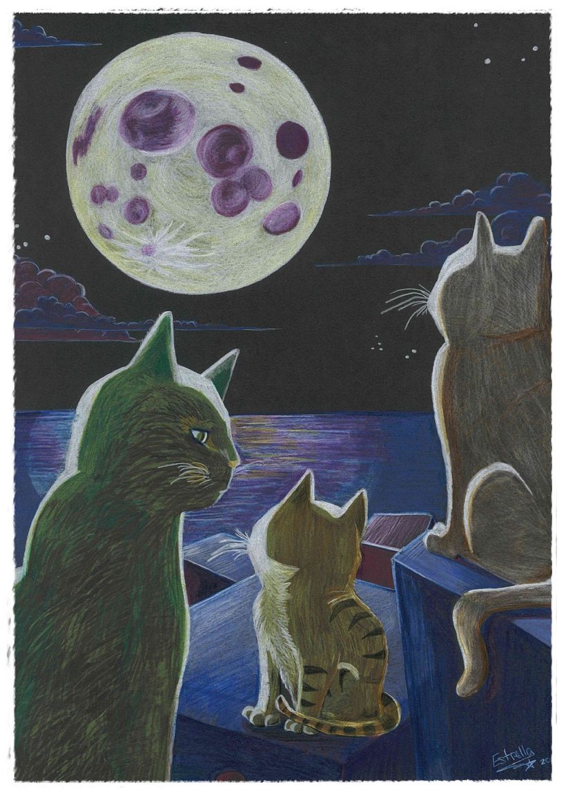 Donación de ilustraciones  2